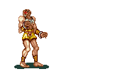 Dhalsim11_mirror.gif
