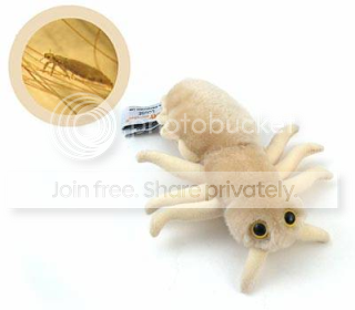 bacteria_headlice-head-louse.png