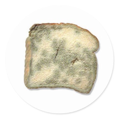 stale_bread_sticker-p217377541770273142qjcl_400.jpg