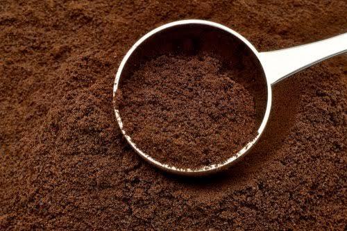 Bahaya Konsumsi Makanan Yang Bekas Ada Cicaknya