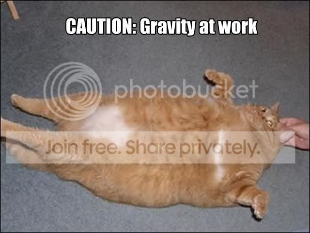 gravity.jpg