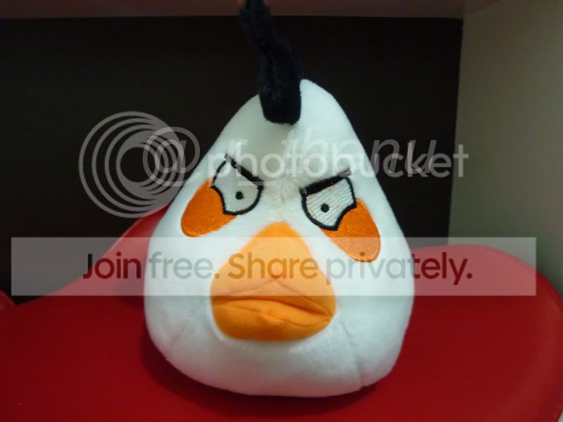 WhiteAngryBird.jpg