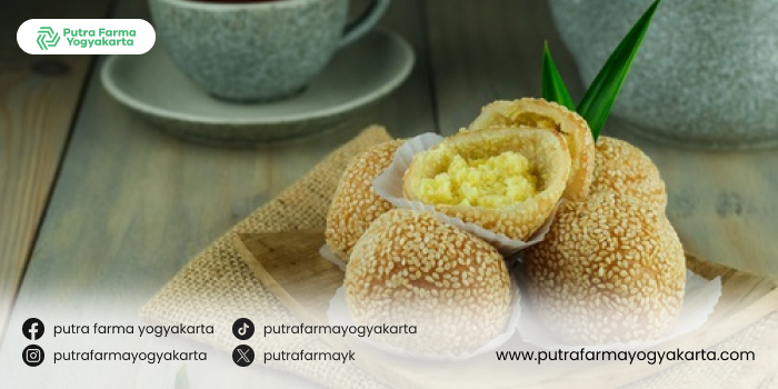 www.putrafarmayogyakarta.co.id