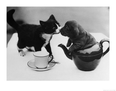 tea-party.jpg