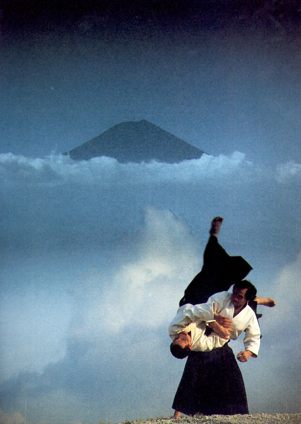 Tamura-aikido.jpeg