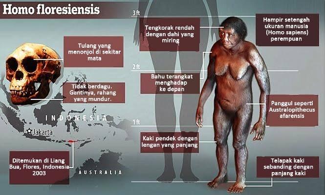 Ras Hobbit Di Indonesia, Apakah Masih Ada?
