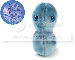bacteria_clap-gonorrhoea.png