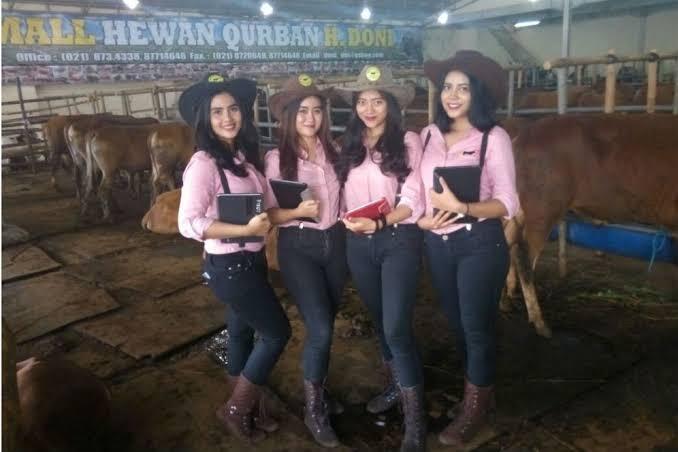 SPG Hewan Qurban, Cantik Dan Seksi