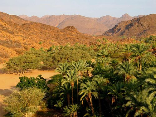 timia-oasis-1.jpg