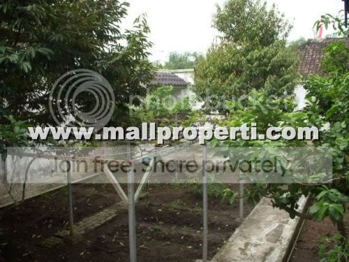 DSCN6940_malangjual.jpg