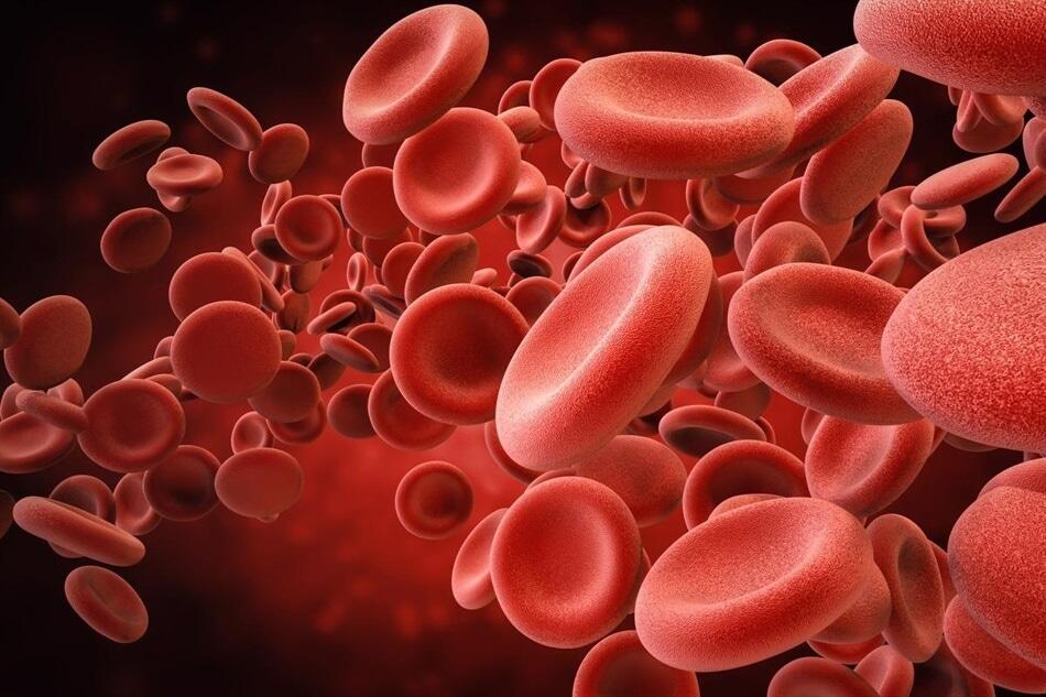 Mengenal Tiga Macam Antigen Golongan Darah