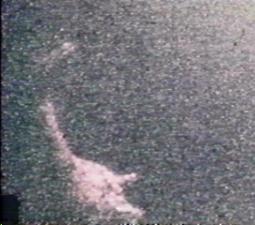 nessie1.jpg