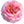 anemone02.gif