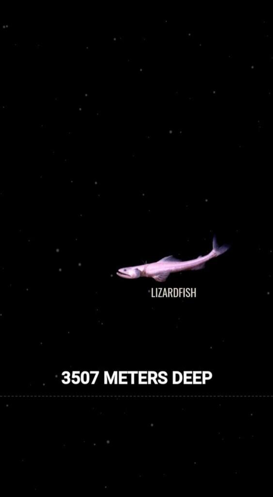 Ini Dia Ilustrasi Dalamnya Laut yg Begitu Menyeramkan [Warning : Sangat Dalam]