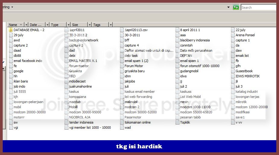 e1.jpg