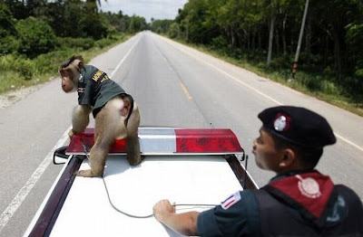 monkey_police_03.jpg