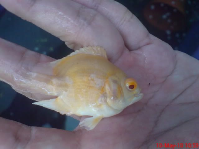 DSC00457.jpg