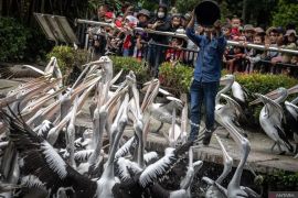 Daftar wahana & harga tiket masuk Ragunan
