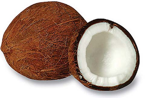 batok-kelapa.jpg