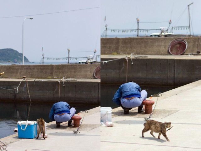 WZEDH.jpg