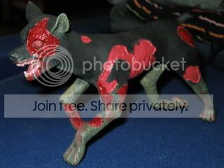 IMG_3473.jpg