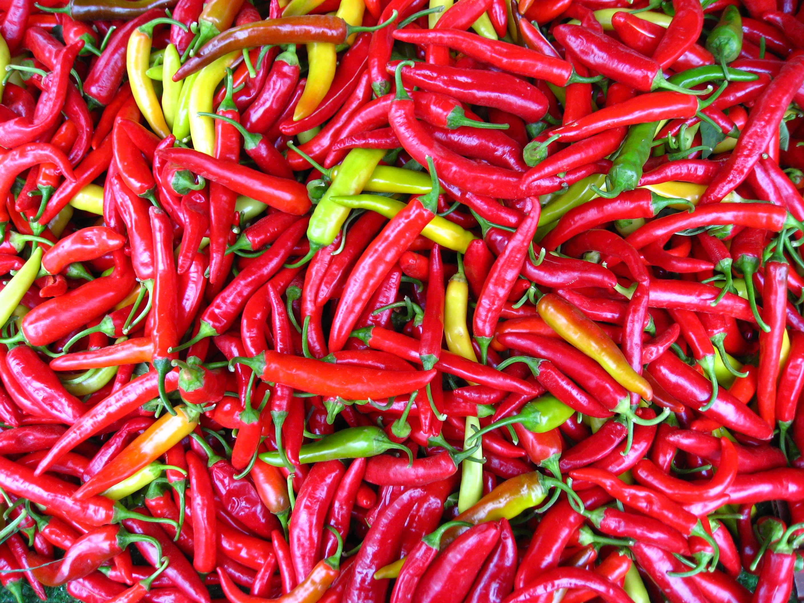 Capsicum_frutescens.jpg