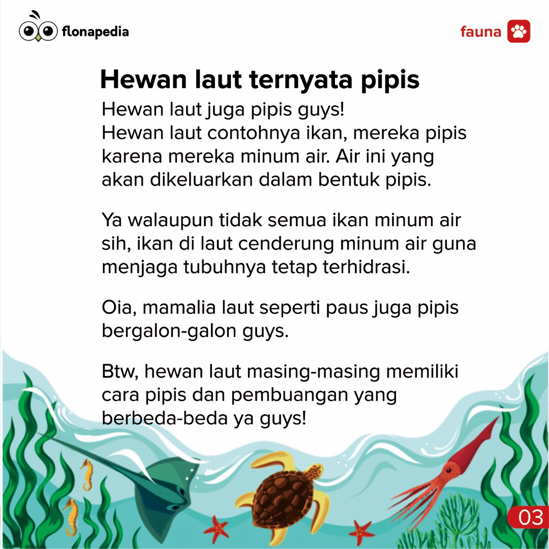 Apakah Hewan Laut Itu Pipis?
