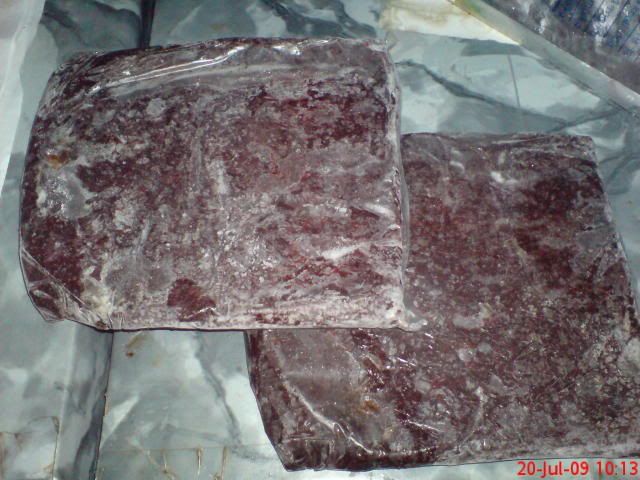 DSC00093.jpg