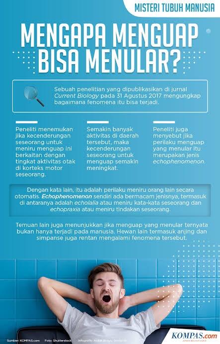 Apakah Benar, Nguap Itu Menular?