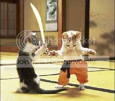 kucing_02.jpg