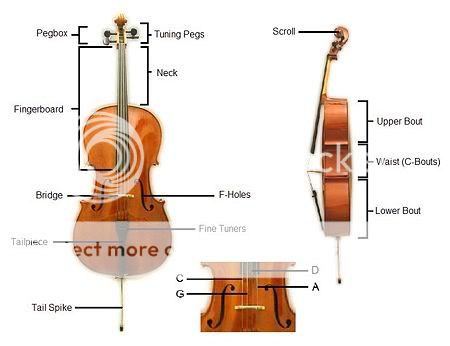 cellodetails.jpg