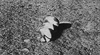 Lunik13photo2.jpg