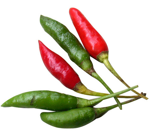 cabe-rawit.jpg
