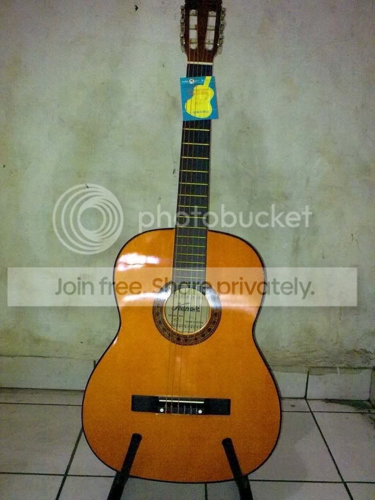 kapok917.jpg