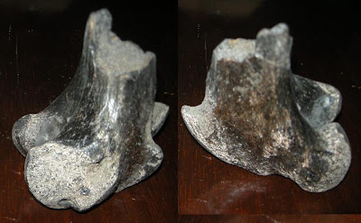 bone3.jpg