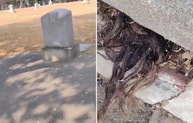 Begini Penyebab Kuburan Mengalami Kerusakan