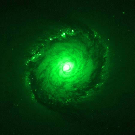 m161587.jpg
