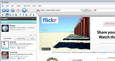browser-+Flock.jpg