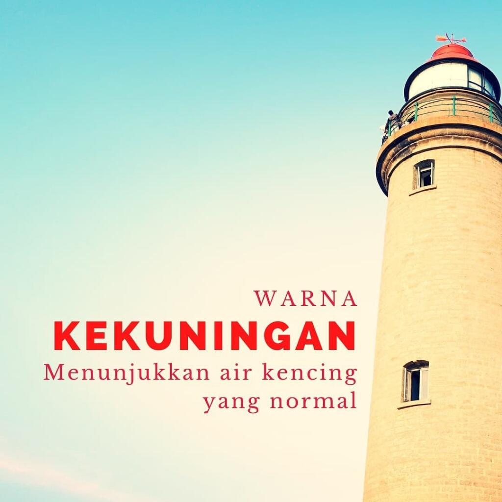 Apa Warna Urine Anda Hari Ini?
