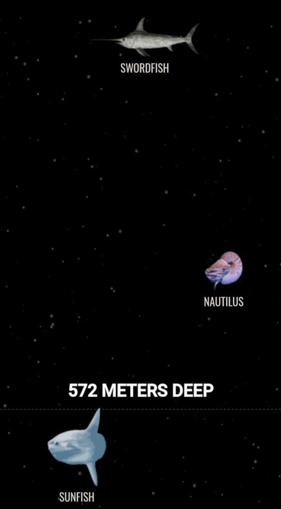 Ini Dia Ilustrasi Dalamnya Laut yg Begitu Menyeramkan [Warning : Sangat Dalam]