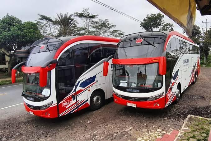 Spion Tanduk, Tren Spion Besar Pada Bus!