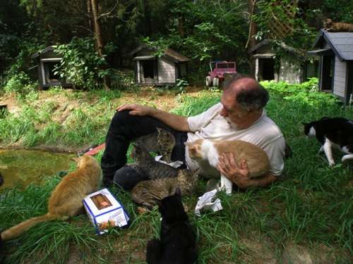 cat-donuts-20090514-183657.jpg