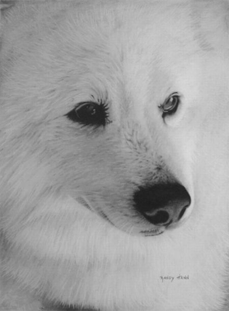 pencil_drawings_by_randy_hann_03.jpg