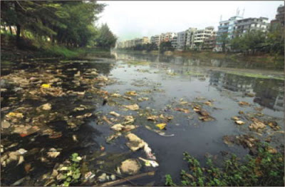 waterpollution1.jpg