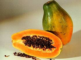 1340277_papayaagisfarm1.jpg