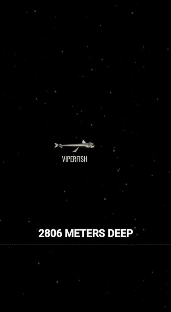 Ini Dia Ilustrasi Dalamnya Laut yg Begitu Menyeramkan [Warning : Sangat Dalam]