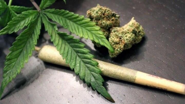 Demi Urusan Medis, Mending Melegalkan Euthanasia atau Ganja? #RabuRandom