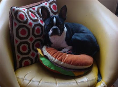 cool-pillows-07.jpg