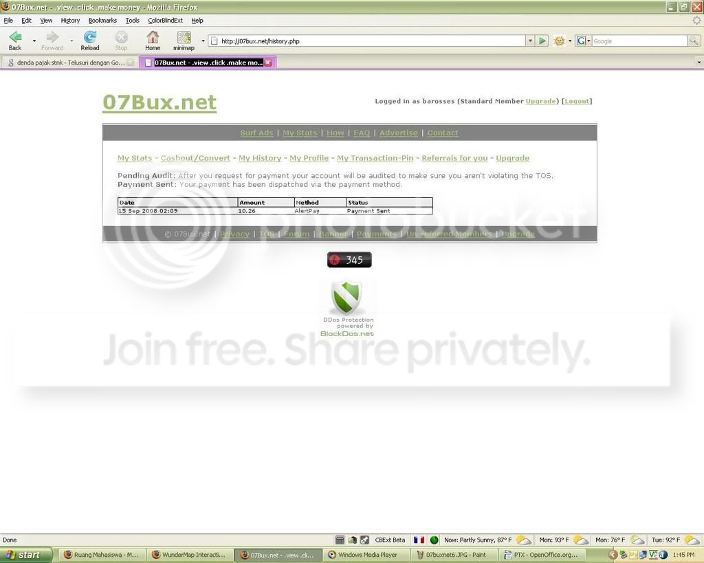 07buxnet7.jpg
