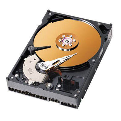 harddisk1.jpg